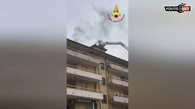 Il Tg della sera - 16 Dicembre 2025