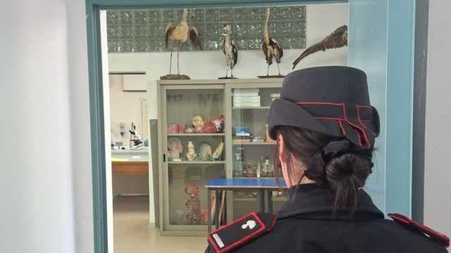 WhatsApp Image 2025 12 10 At 14.21.06 Acidi rovesciati nel laboratorio di scienze: scatta l'evacuazione di una scuola a Iglesias