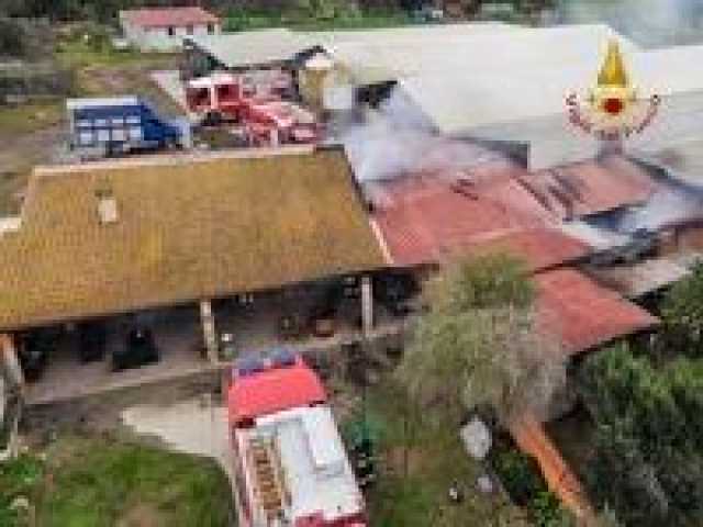 Incendio in una fattoria a Macchiareddu: salvati diversi animali, danni ingenti