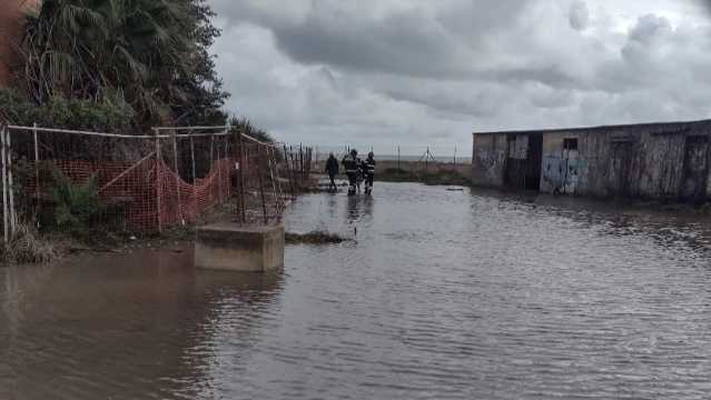 Gatti in difficoltà all'Ospedale marino dopo il ciclone, Lav Cagliari: 