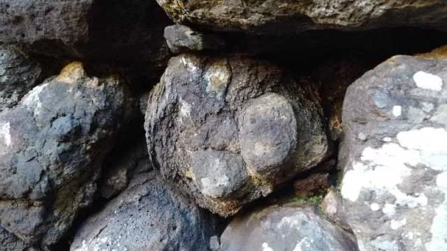 Villanova Truschedu, sembrava una Dea Madre. Il Mic smonta: 