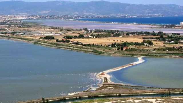 Uomo sevizia e uccide 2 cani a Molentargius, Lav: 