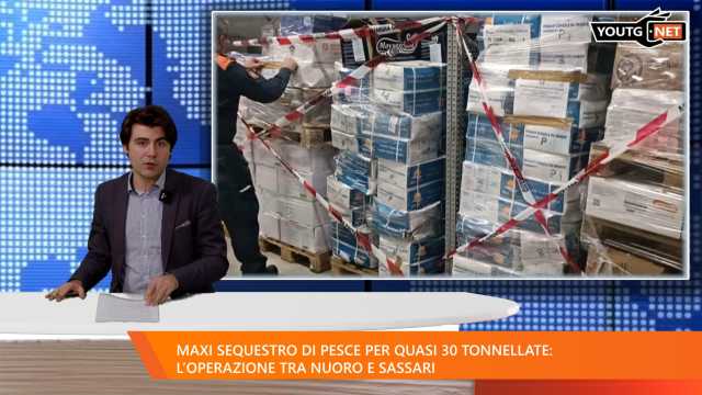 Il Tg della sera - 13 Gennaio 2026