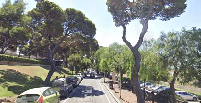 Cagliari, rischio caduta di rami e piante: chiusa via Giussani