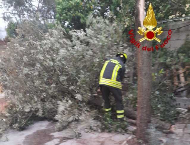 Il maltempo travolge la Sardegna: alberi crollati in strada, decine di interventi dei vigili del fuoco