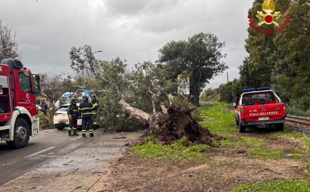 Tortolì, albero piomba su un'auto in marcia sulla 125: due feriti