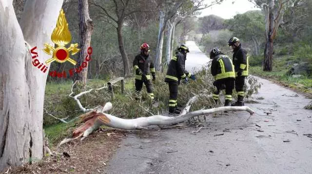 Maltempo, oltre 60 interventi dei vigili del fuoco nel nord Sardegna