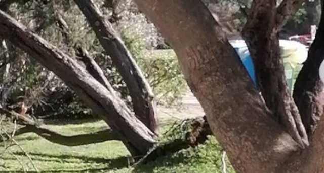 Non solo il forte vento in Sardegna, prorogata l'allerta gialla per rischio idraulico e idrogeologico