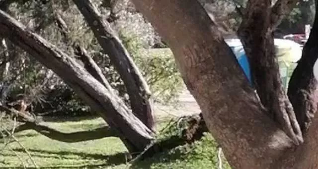 Non solo il forte vento in Sardegna, prorogata l'allerta gialla per rischio idraulico e idrogeologico