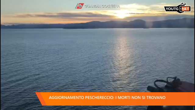 Il Tg della Sera - 11 Febbraio 2026