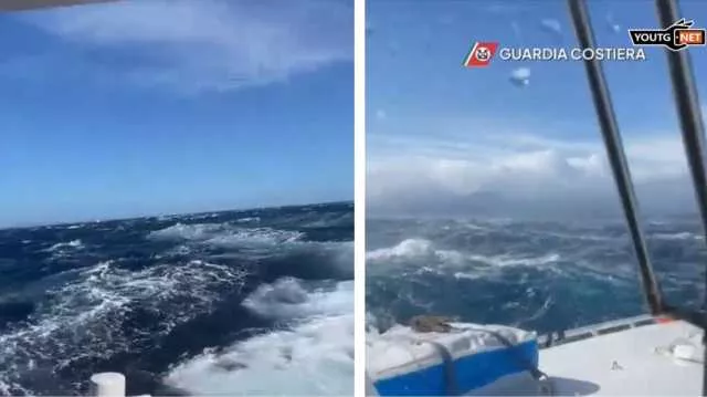 WhatsApp Image 2026 02 11 At 14.18.15