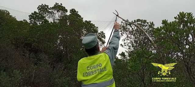 Caccia di frodo sugli uccelli (anche protetti): l'operazione nel Sulcis