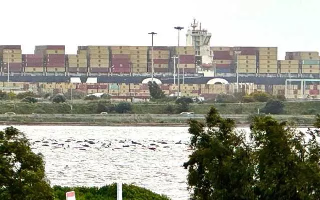 Nave Msc Vega al porto di Cagliari, il sindaco: