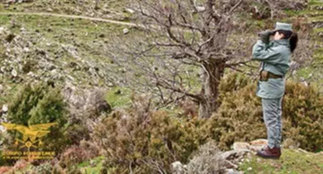 Discariche abusive, migranti soccorsi e infestazioni: aprile intenso per il corpo forestale sardo
