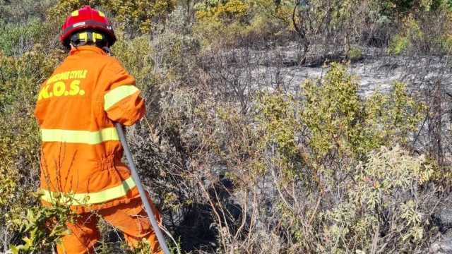 Quartu, primo incendio boschivo del 2026 sulla ex 125: in fiamme un ettaro di macchia mediterranea