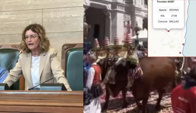 Focolaio Ballao Dermatite