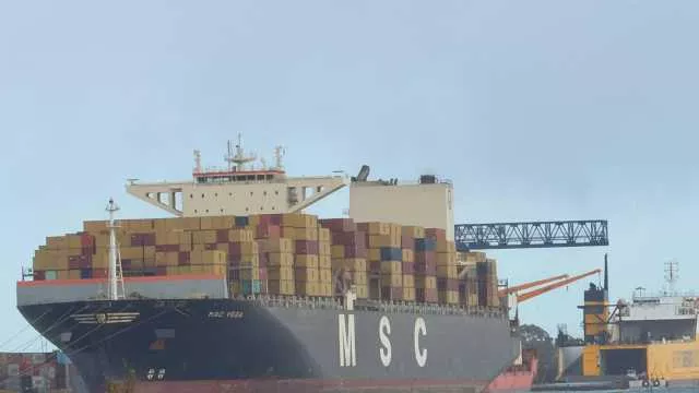 Il ministero risponde sul carico della Msc Vega: 