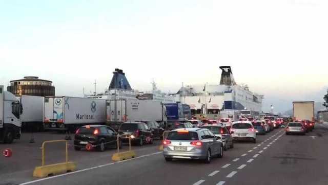 Olbia, mezzo chilo di hashish in auto: 22enne di Roma beccato dal cane Dante al porto