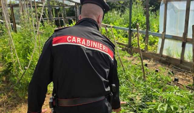 Maxi operazione antidroga in Italia: 19 indagati, un arresto anche a Cagliari