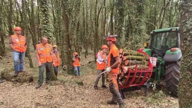 Nomina amministratore unico Forestas, interviene l'anticorruzione. FdI: 