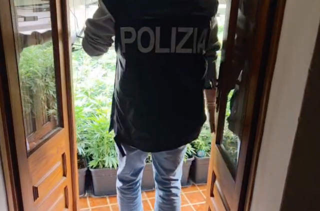 Nascondeva in casa una serra con oltre 120 piante di cannabis: arrestata una 44enne nel Cagliaritano