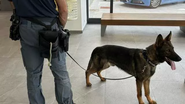 Appartamento trasformato in base di spaccio h24: blitz della polizia a Oristano