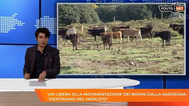 Il Tg del Mattino - 8 Maggio 2026