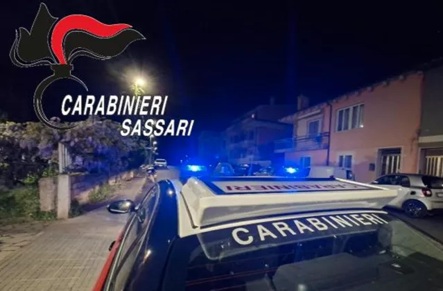 Maxi piantagione di marijuana a Luras: in quattro finiscono in carcere