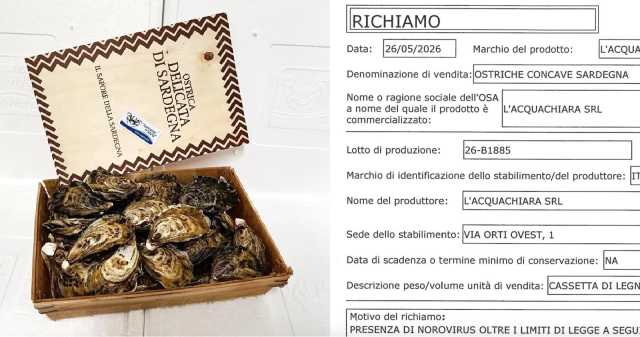 Ostriche Ritirate Dal Commercio