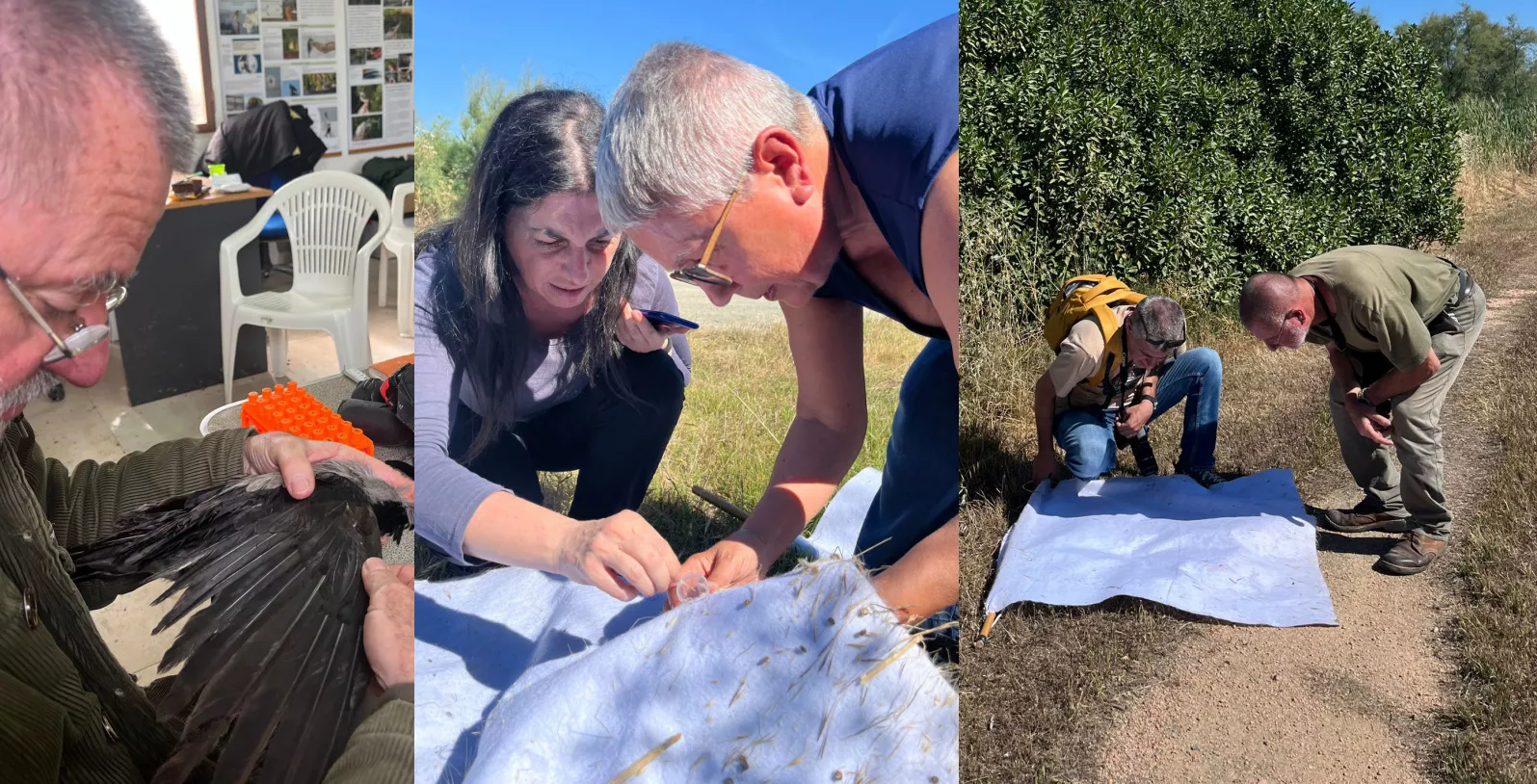 Molentargius, nasce la collaborazione scientifica tra il parco e Izs Sardegna