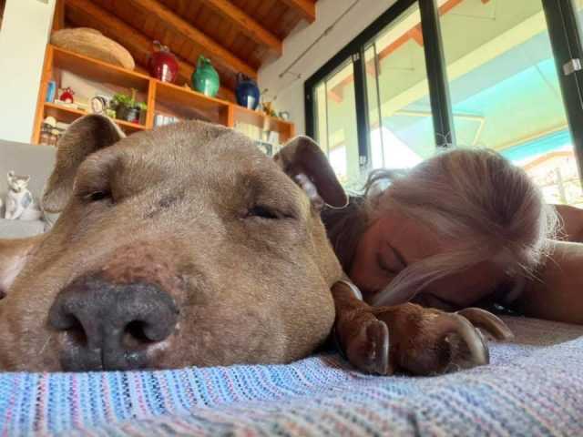 È morta Palla: la cagnolina che per dieci anni è stata il simbolo della lotta contro i maltrattamenti