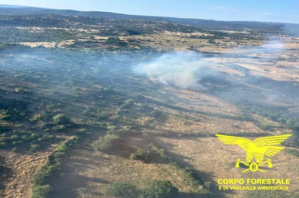 Pomeriggio di fuoco in Sardegna: fiamme a Sedilo, Oniferi e Palmas Arborea
