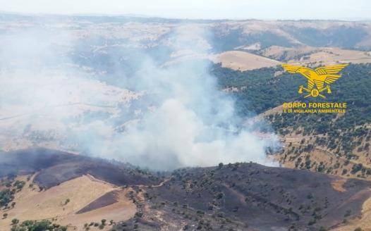 WhatsApp Image 2026 06 23 At 15.37.15 1 Fiamme sul monte Cugussi a Nurri, il temporale rallenta gli aiuti aerei