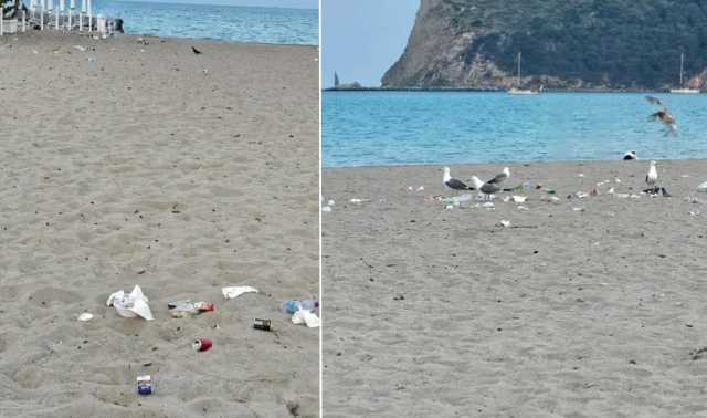 Cagliari, al Poetto i rifiuti abbandonati in spiaggia diventano banchetto per i gabbiani: 