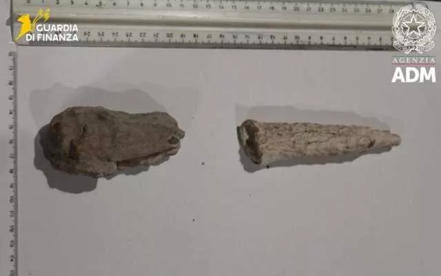 Nel trolley frammenti di stalattiti rubate da una grotta a Cala Gonone: il sequestro all'aeroporto di Elmas