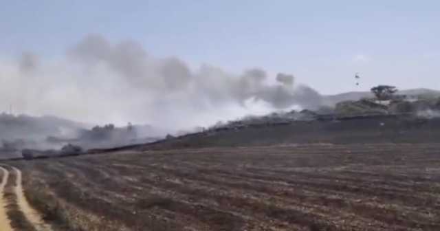 Incendio Boschivo Sardegna Il corpo forestale sardo: