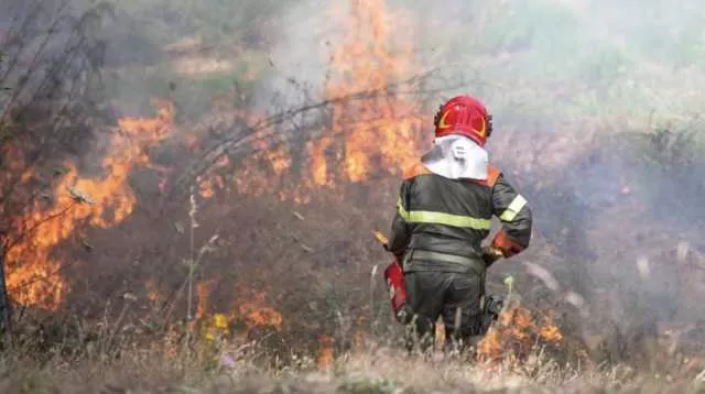 Incendio Corpo Forestale Intervento