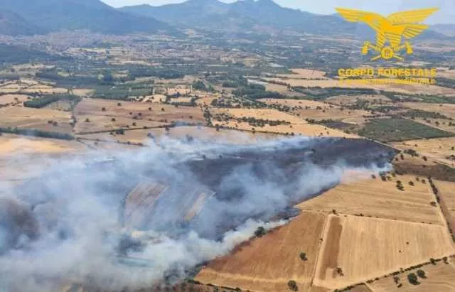Incendio Gonnosfanadiga