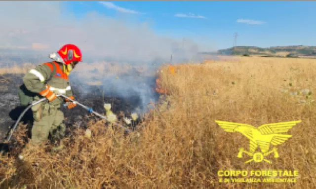 Incendio Scoppiato Nel Cagliaritano Da Villasimius a Quartu, gli ultimi incendi sono colposi: