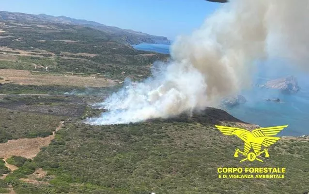 Stintino Incendio Incendi da Stintino a Teulada: vegetazione in fiamme, in volo gli elicotteri