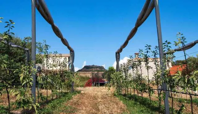 Su Dragone Ittiri Su Dragone Ittiri