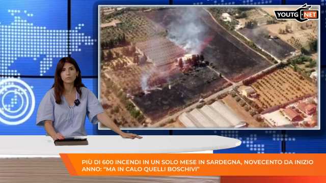 Il Tg del Mattino - 03 Luglio 2026