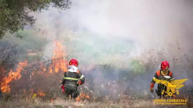 Cagliari, pericolo incendi di nuovo alto: scatta l'allerta arancione