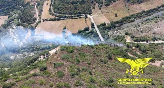 Corpo Forestale Incendio A Escalaplano