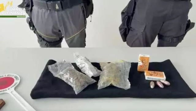 Gdf Sassari Droga Sequestro Olbia, cosparge i panetti di hashish con curry e spezie per sfuggire ai cani antidroga: arrestato