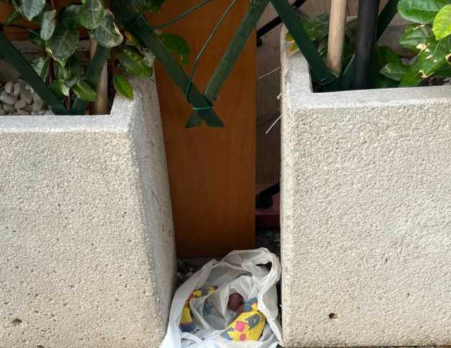 "Gattino chiuso dentro una busta e abbandonato": trovato morto di fronte a un ristorante a Cagliari