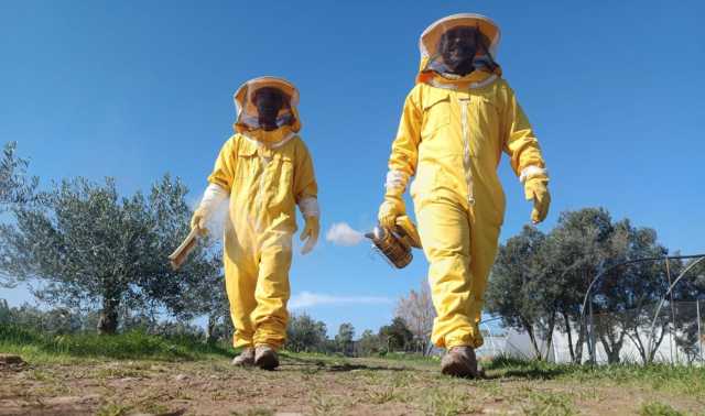 Inclusione e apicoltura, la filiera agricola diventa sociale con 