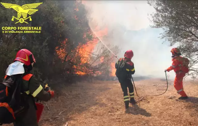 Sardegna Brucia Carenza di personale e organico troppo vecchio: il Corpo Forestale proclama lo sciopero in Sardegna