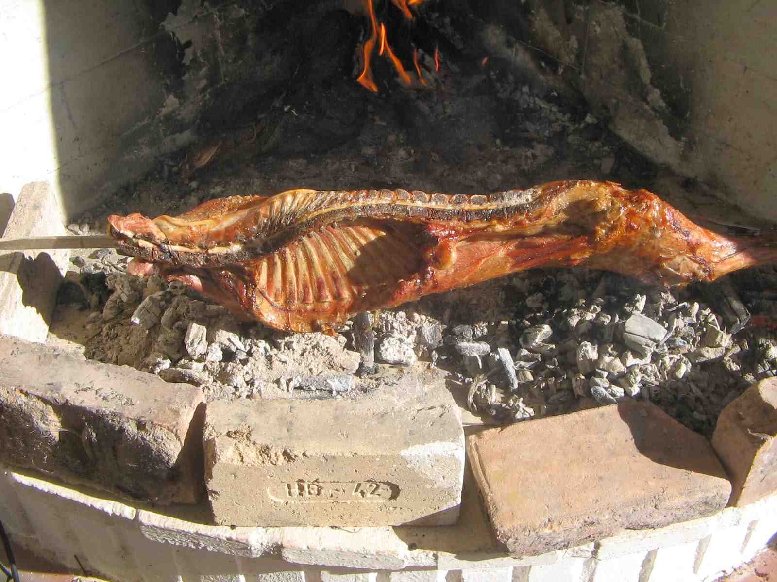 Agnello