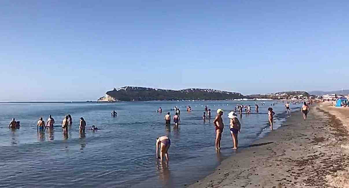 Alghe Poetto Cagliari